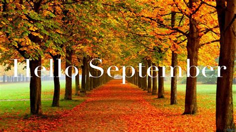 Hello September Word In Colorful Autumn Fall Trees Background HD September Wallpapers | HD ...