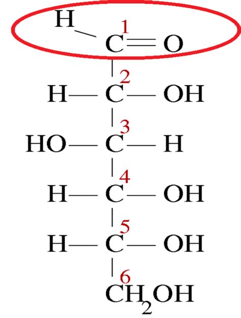 Reducing sugar hasA) Bonded aldose and ketose groupsB) Free aldose groupC) Free ketose groupD ...