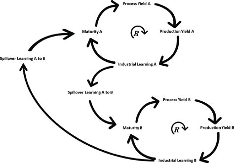 Causal loop diagram illustrating the reinforcing (positive) feedback... | Download Scientific ...