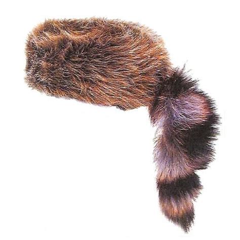 coonskin hat clipart 10 free Cliparts | Download images on Clipground 2024