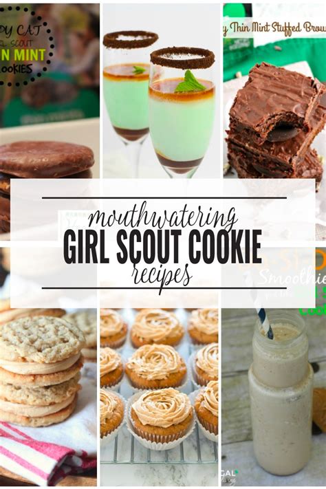 Lemonades Girl Scout Cookies Recipe | Dandk Organizer