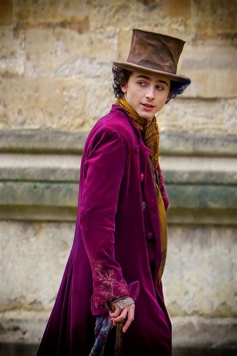 Timothee Chalamet Willy Wonka Costume - Image to u