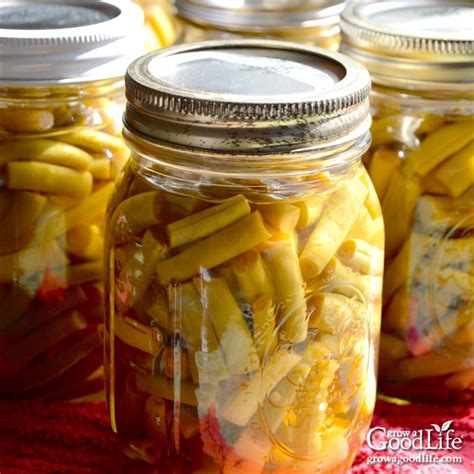 Canning Green Beans for Food Storage