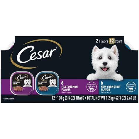 (12 Pack) CESAR Wet Dog Food Filets in Gravy Filet Mignon & New York Strip Flavors Variety Pack ...