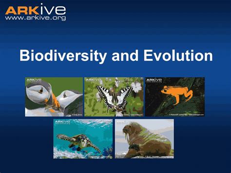 Biodiversity and Evolution PPT for 9th - 12th Grade | Lesson Planet