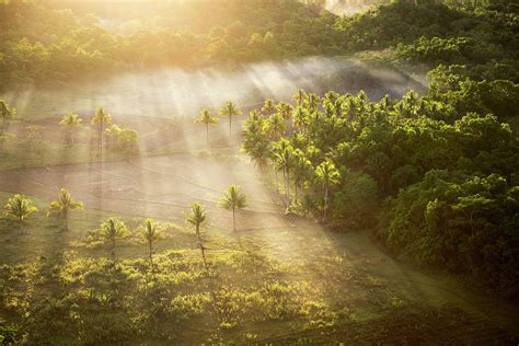 Sunrise, Chocolate Hills, Bohol Photograph by John Harper - Fine Art ...