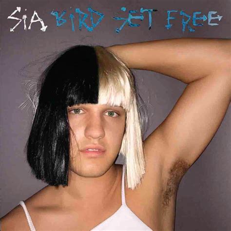 Sia: Bird set free, la portada de la canción