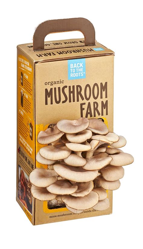 Mushroom Growing Kits | Expertly Chosen Gifts