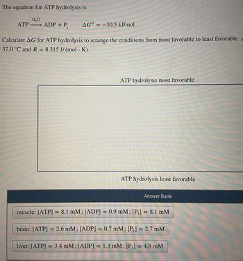 Answered: The equation for ATP hydrolysis is H₂O… | bartleby