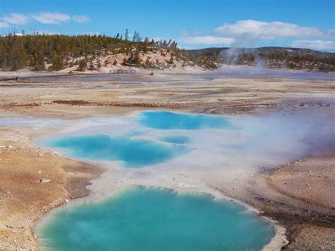 Norris Geyser Basin | Yellowstone National Park | Travel The Food For The Soul