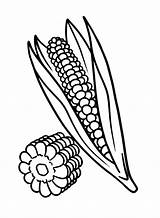 Corn Coloring Pages Printable For Free Download sketch template