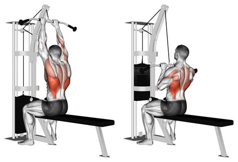 Do Lat Pulldowns Target the Biceps? YES, Here's How - Inspire US