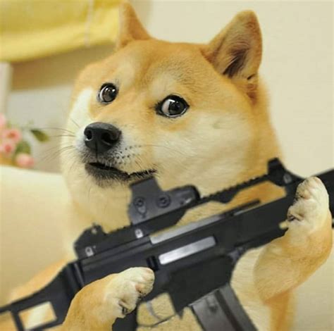 doge gun Blank Template - Imgflip