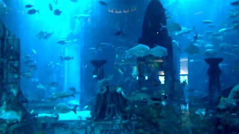 Atlantis Aquarium - Palm Jumeirah Dubai - YouTube