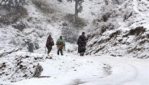 PHOTOS: Kashmir gets season's first major snowfall - Rediff.com News