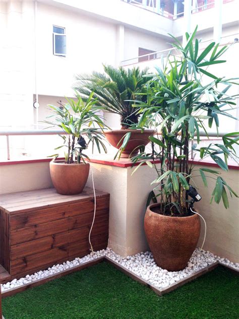 Small Decorative Plants India | Shelly Lighting