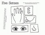 5 Senses Coloring Pages Sketch Page sketch template