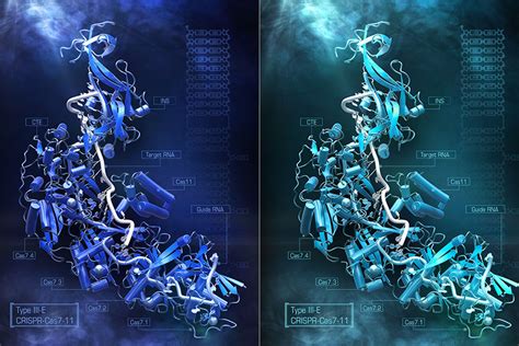 Convenience-sized RNA editing | MIT News | Massachusetts Institute of ...