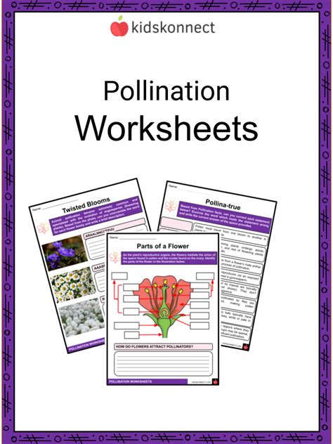 Pollination Worksheets | Methods of Pollination, Animal Pollination