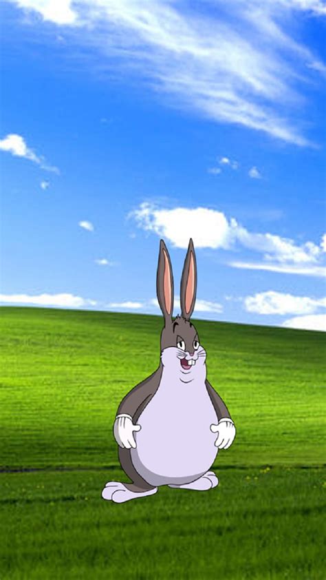 Big Chungus Wallpaper 1920X1080 - Big Chungus Download Free 3d Model By ...