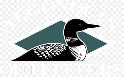 Common loon Drawing Bird Duck Clip art - cartoon lake water | Bird drawings, Loon tattoo, Duck ...