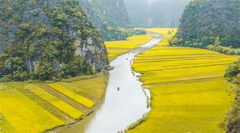 10 Most beautiful rice fields in Vietnam + best season 2024 | localvietnam