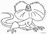 Printable Lizard Coloring Page For Kids  ColoringBay sketch template