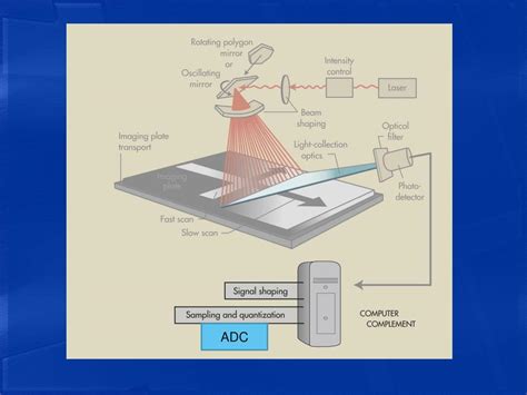 PPT - Computed Radiography PowerPoint Presentation, free download - ID ...