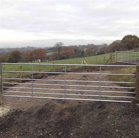 Sheep Fencing | Suddenstrike Fencing and Gates