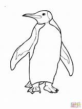 Free Printable Penguin Coloring Pages sketch template