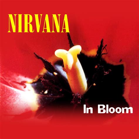 Nirvana: In Bloom by wedopix on DeviantArt