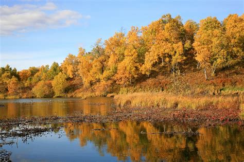 Autumn,forest,lake,reflection,autumn forest - free image from needpix.com