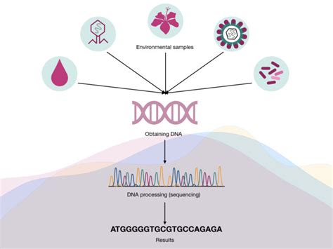 What is Metagenomics?-Definition, Steps, Process and Applications ...