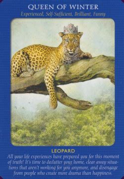 Animal Tarot Cards Reviews & Images | Aeclectic Tarot