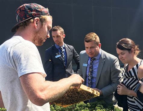 Engage with your community around a sustainable bee solution | Alvéole