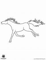 Best Horse Coloring Pages  Little Sprout Art Learning Lab sketch template