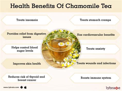 Benefits of Chamomile Tea And Its Side Effects | Lybrate