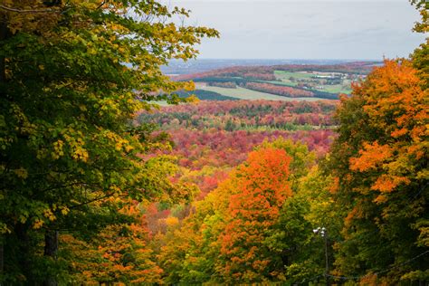 See Québec’s fall colours coming to life | Busbud blog