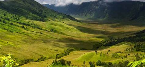 Bukit Teletubbies di Gunung Bromo • Royal Tour Bromo