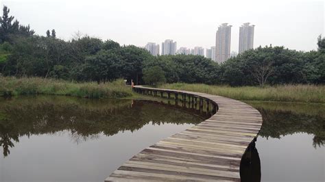 Explore with Deltanne: [Hong Kong] Wetland Park, Tin Shui Wai