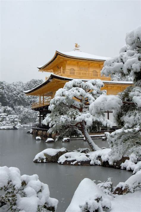 Pin by Abbott Shan on Japan | Japan travel, Winter in japan, Scenery