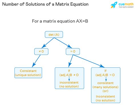 Matrix Equation - Examples | How to Solve Matrix Equation?