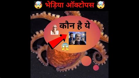 Bhediya octopus 🤯 | Animal facts #trendingshorts #youtubeshorts #shorts @MRINDIANHACKER - YouTube