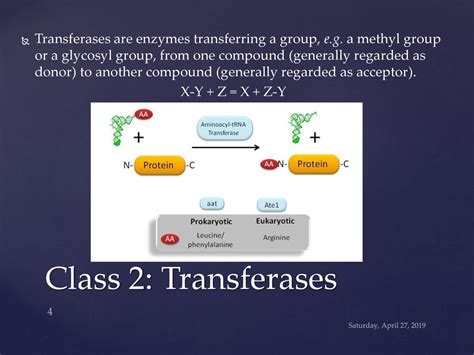 Classification of Enzymes - ppt download