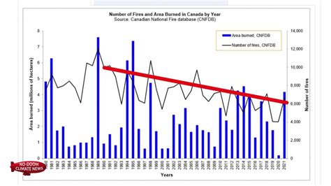 Wildfire Fact Check - Canada June 2023 - One News Page VIDEO