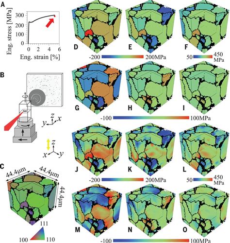 Intragranular three-dimensional stress tensor fields in plastically deformed polycrystals | Science