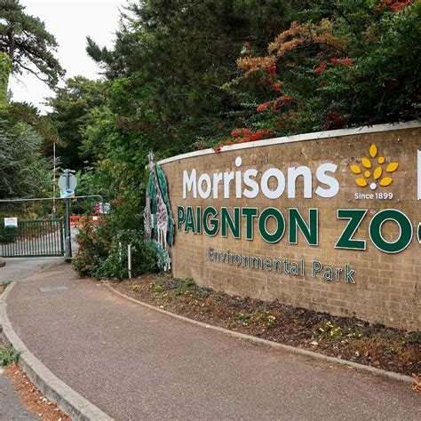 11 Astonishing Facts About Paignton Zoo - Facts.net