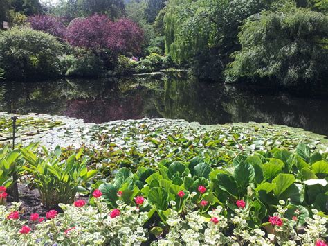 Pond in the Sunken Garden by RusHetaFan on DeviantArt