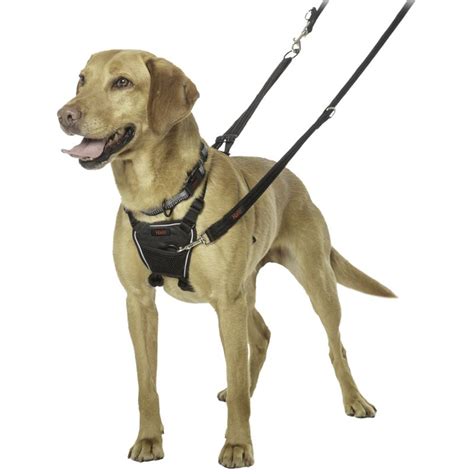 Halti Non-Pull Dog Training Harness reviews | zooplus.co.uk