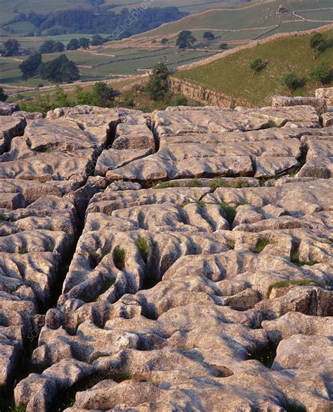 Limestone pavement in Yorkshire - Stock Image - E415/0127 - Science ...